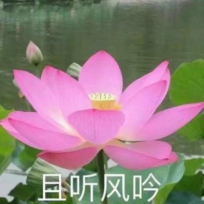 孟子·离娄章句上·第二十七节